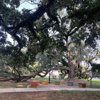 Constitution Green historic oak tree with colorful benches in downtown Orlando Florida